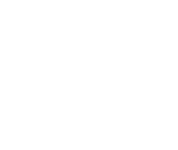 Logo The Dubliner – Irish Pub