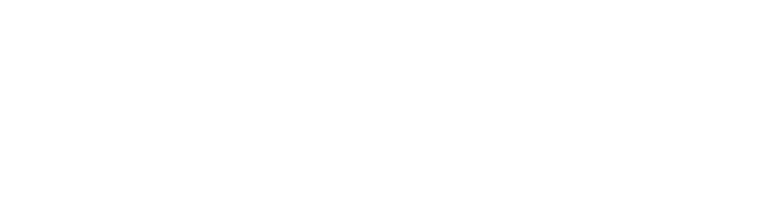 Logo The Dubliner – Irish Pub